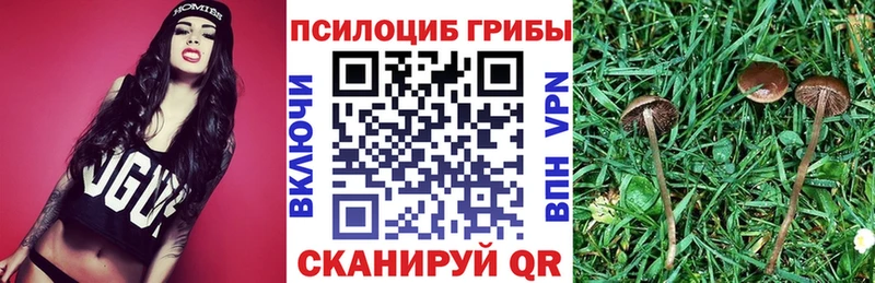 Галлюциногенные грибы ЛСД  Макаров 